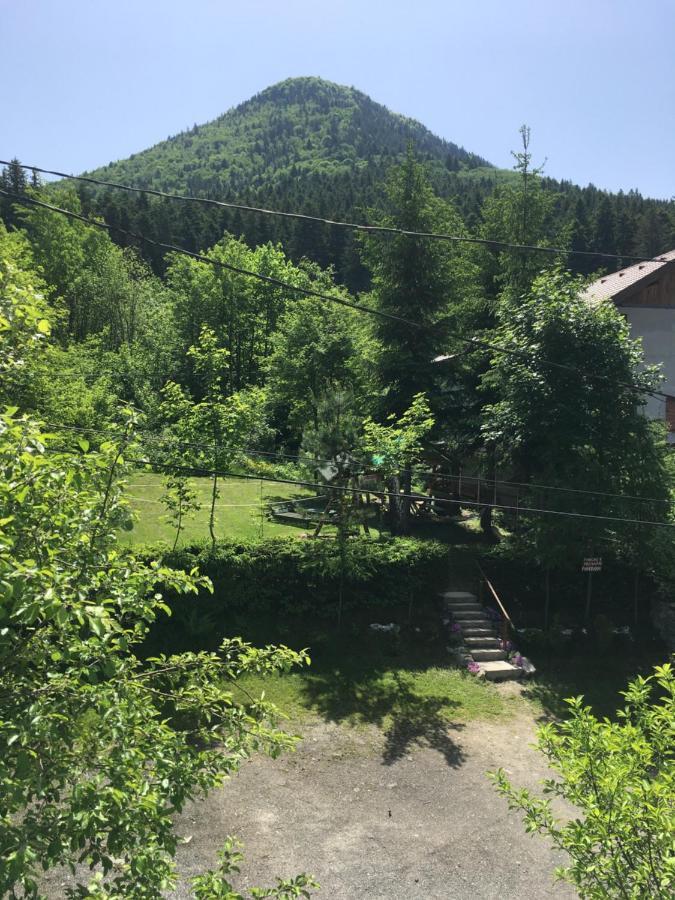 Bed and Breakfast Panorama panzió BaileTusnad Exterior foto