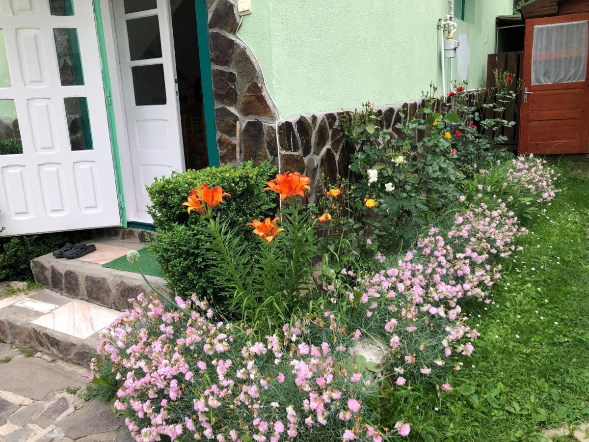 Bed and Breakfast Panorama panzió BaileTusnad Exterior foto