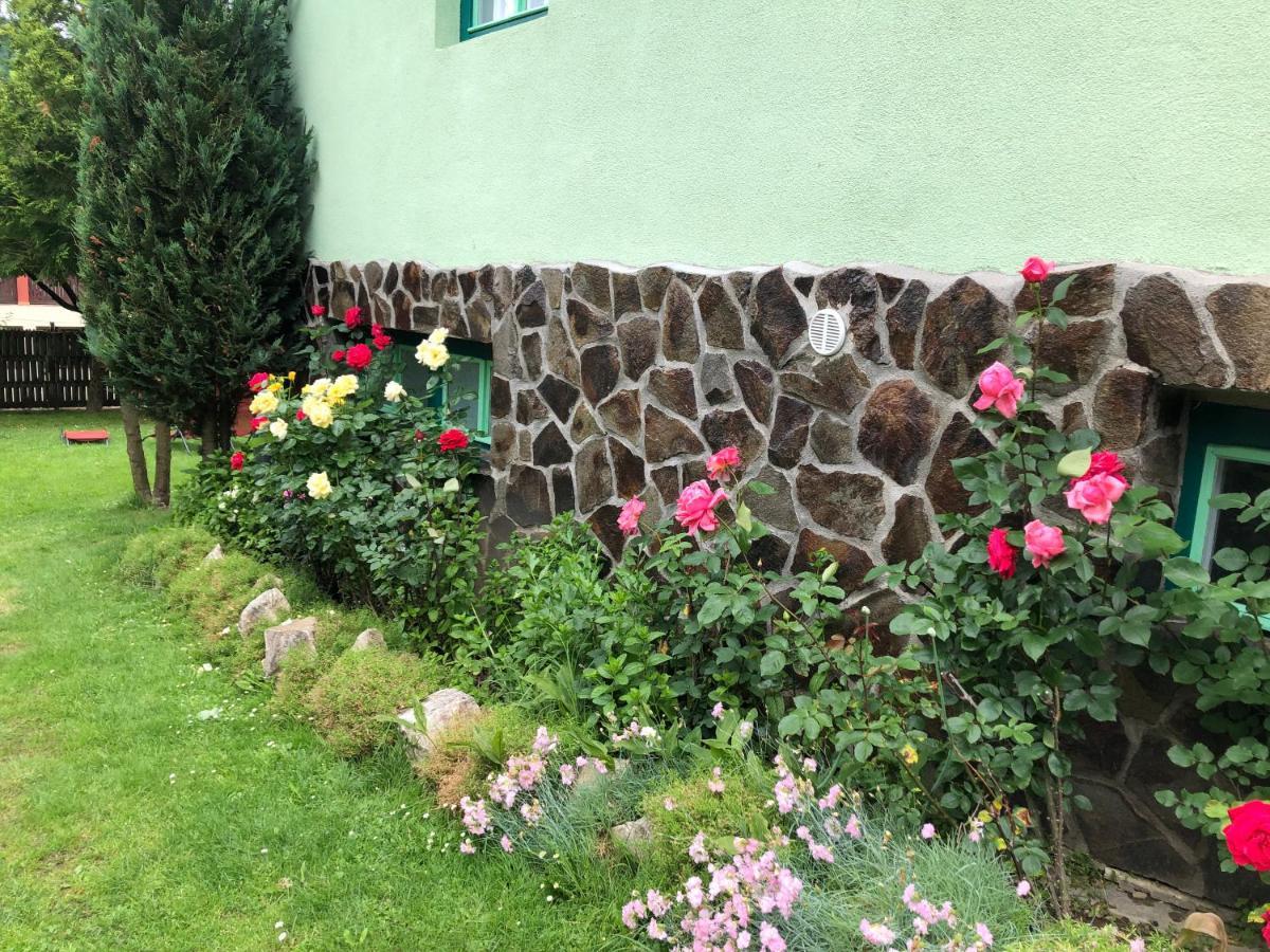 Bed and Breakfast Panorama panzió BaileTusnad Exterior foto