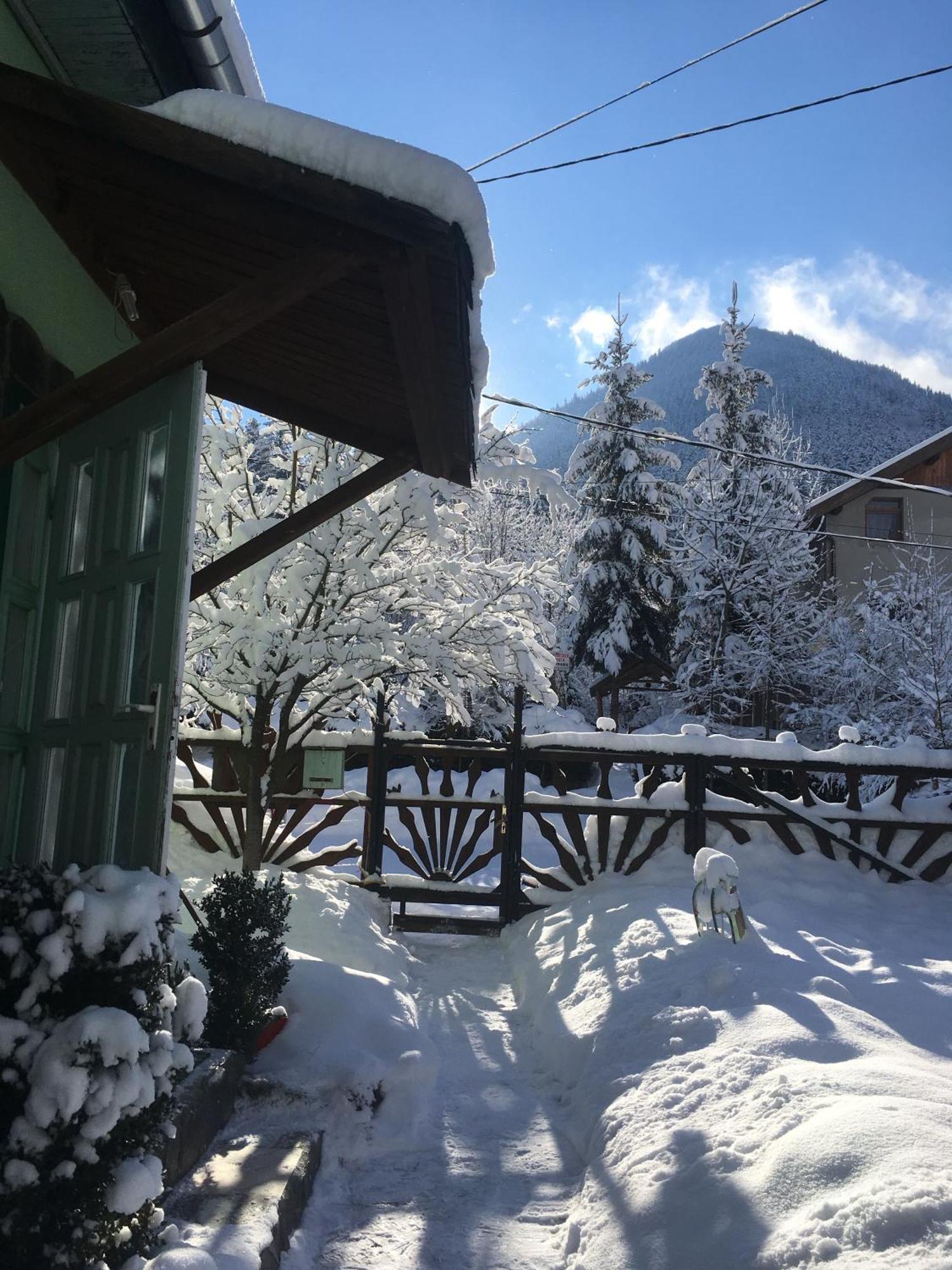 Bed and Breakfast Panorama panzió BaileTusnad Exterior foto